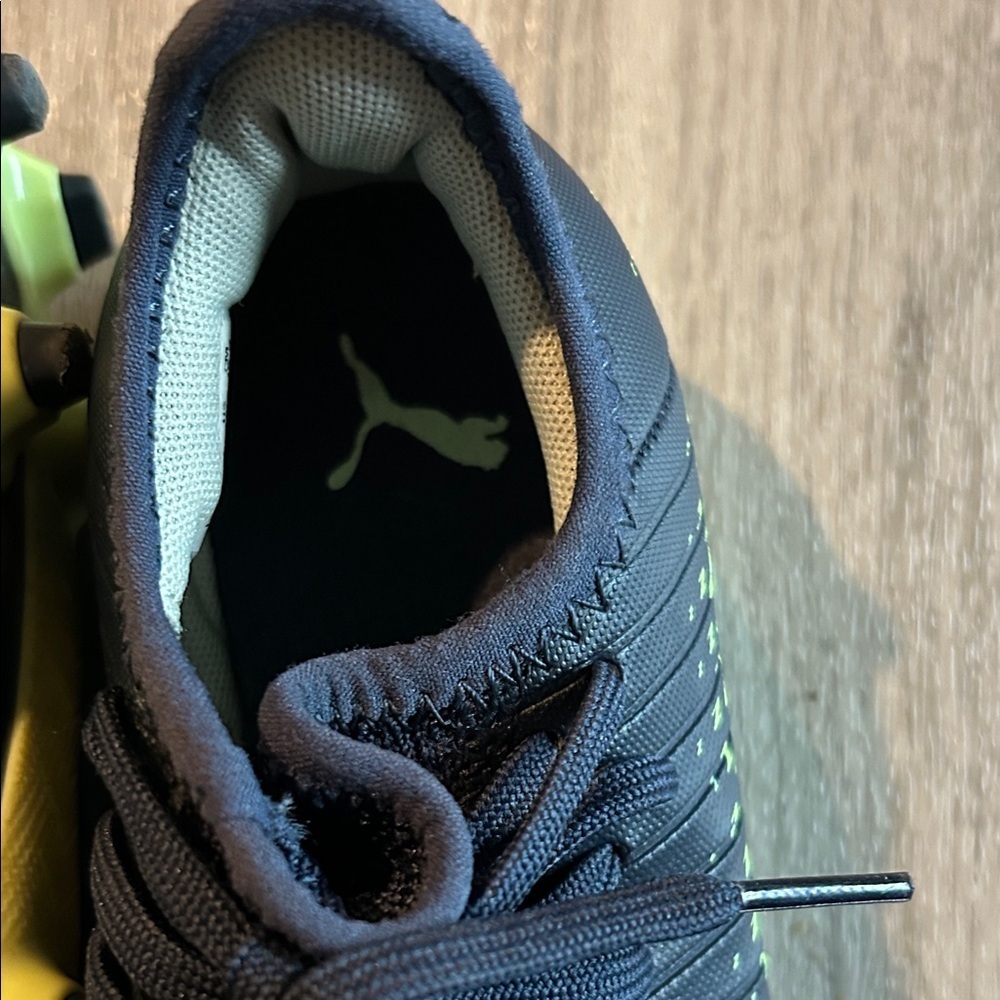 Puma with Vibrant Yellow Accents - Picture 5 of 8